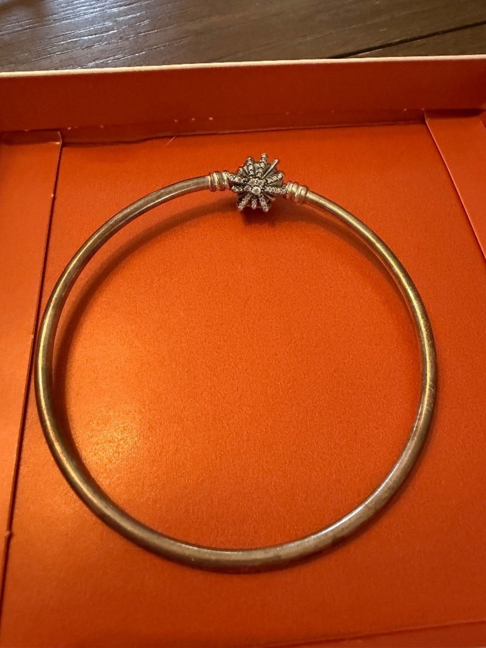 Pandora Bracelet